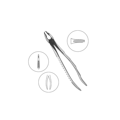 Щипцы для удаления зубов верхние резцы/клыки | HLW Dental Instruments (Германия)