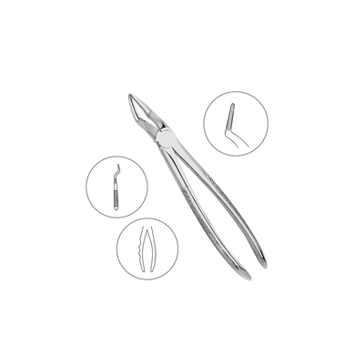 Щипцы для удаления зубов верхние корневые (анатомические) | HLW Dental Instruments (Германия)
