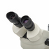XT-45T - микроскоп стереоскопический | Армед (Россия)