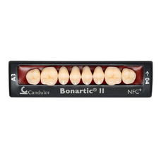 Bonartic II NFC+ - композитные боковые зубы