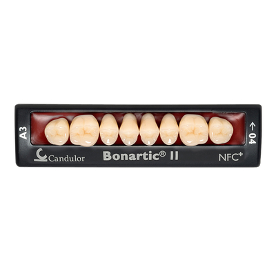 Bonartic II NFC+ - композитные боковые зубы | Candulor AG (Швейцария)