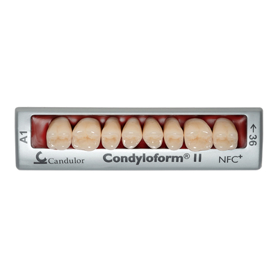 Condyloform II NFC+ - композитные боковые зубы | Candulor AG (Швейцария)