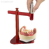 Static Pointer - лазер для контроля правильной постановки зубов | Candulor AG (Швейцария)