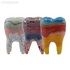 Декоративный зуб из керамики с крышкой, малый, цветной