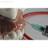 Модель челюсти для практики проведения местной анестезии | Dentalstore (Италия)
