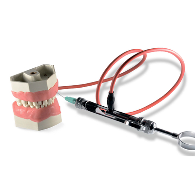 Модель детской челюсти для практики проведения местной анестезии | Dentalstore (Италия)