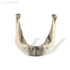 Модель кости нижней челюсти для проведения имплантации | Dentalstore (Италия)