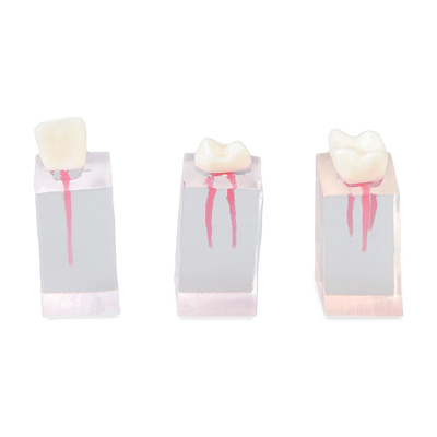Набор из трех прозрачных блоков для эндодонтии | Dentalstore (Италия)