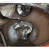 proCam - миниатюрная стоматологическая видеокамера с разрешением 4K | Futudent (Финляндия)
