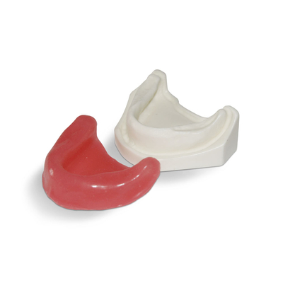 E21 – модель нижней челюсти для практики установки имплантатов | GF Dental (Италия) 