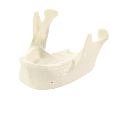 E22 – модель нижней челюсти для практики установки имплантатов | GF Dental (Италия) 