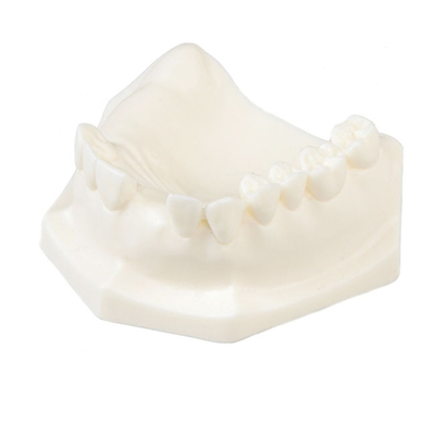 E85 – модель верхней челюсти с частичной адентией для практики имплантологии | GF Dental (Италия) 