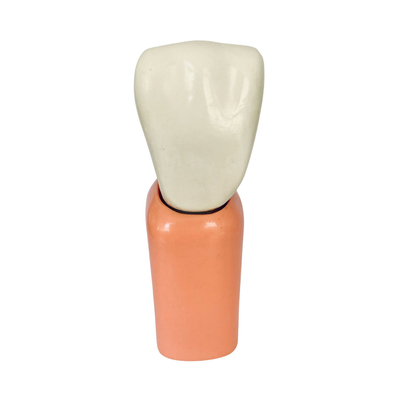 T07 – увеличенная модель импланта, высота 9 см | GF Dental (Италия)