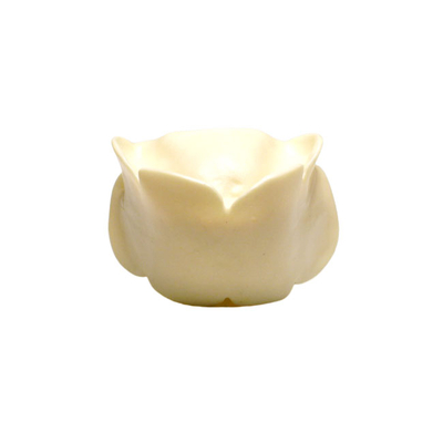 DM24V – резиновый окклюзионный шаблон для фантомной челюсти DM24 | GF Dental (Италия)
