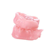 E04G – сменные десны для фантомной челюсти, эластичные, розовые