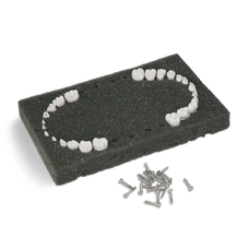 EK1T – комплект из 24 сменных детских зубов для фантомной челюсти