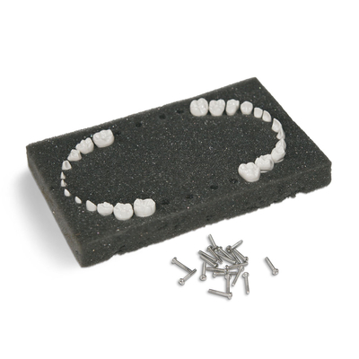 EK1T - комплект из 24 сменных детских зубов для фантомной челюсти | GF Dental (Италия) 