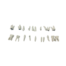 EK5T – комплект из 20 сменных детских зубов для фантомной челюсти
