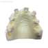 E37L – модель верхней челюсти для практики имплантологии | GF Dental (Италия) 