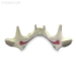 E50 – модель верхней и нижней челюсти для практики синус-лифтинга | GF Dental (Италия) 