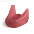 E81G – модель нижней челюсти для практики установки имплантатов | GF Dental (Италия) 