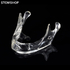E81T – прозрачная модель нижней челюсти для демонстрации и практики | GF Dental (Италия)
