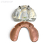T12 – демонстрационная модель верхней челюсти с имплантами | GF Dental (Италия)