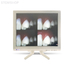 PUnit – стоматологическая симуляционная установка | GF Dental (Италия)