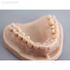 Gorky Liquid Dental Model FL SLA - фотополимерная смола для стоматологии, цвет персиковый, 1 кг | Gorky Liquid (Россия)
