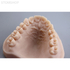 Gorky Liquid Dental Model LCD/DLP - фотополимерная смола для стоматологии, цвет персиковый, 1 кг | Gorky Liquid (Россия)