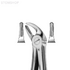 HSA 050-04 - щипцы для удаления нижних резцов и клыков, форма 4 | Karl Hammacher GmbH (Германия)