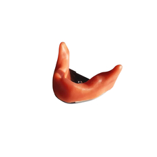 FJI-0  – модель нижней челюсти с полной адентией для практики имплантации