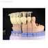 Phrozen Shuffle Lite - высокоточный 3D-принтер для стоматологии | Phrozen (Тайвань)