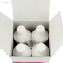 Prophy-Mate FLASH pearl (4 Bottle) - порошок для Prophy-Mate neo (4 банки по 300 мл упакованные в коробку) | NSK Nakanishi (Япония)